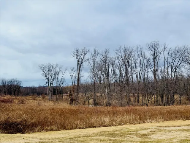a view of a yard with trees in the background