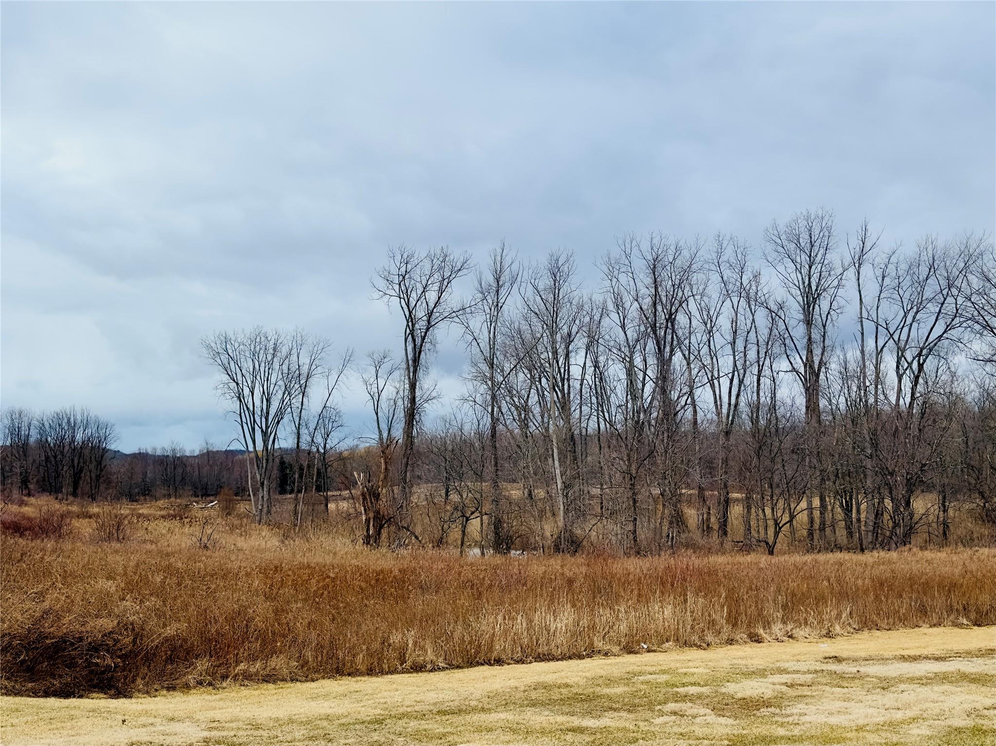 326 Cornwall Hill Road Patterson, NY 12563 - Photo 2 of 6 a view of a yard with trees in the background