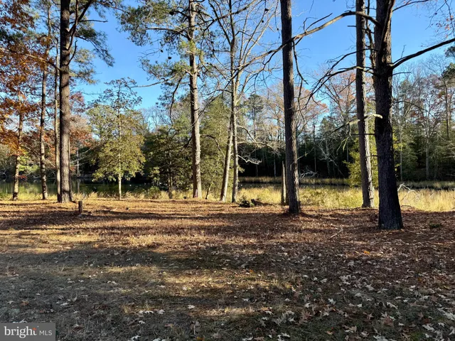 a view of a lake with houses in the back