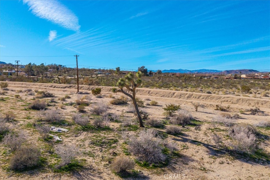 61430 Division Street Joshua Tree, CA 92252 - Photo 16 of 16