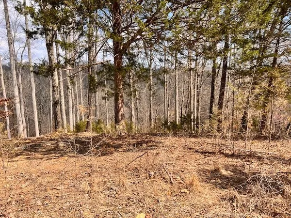 a view of a backyard of the house