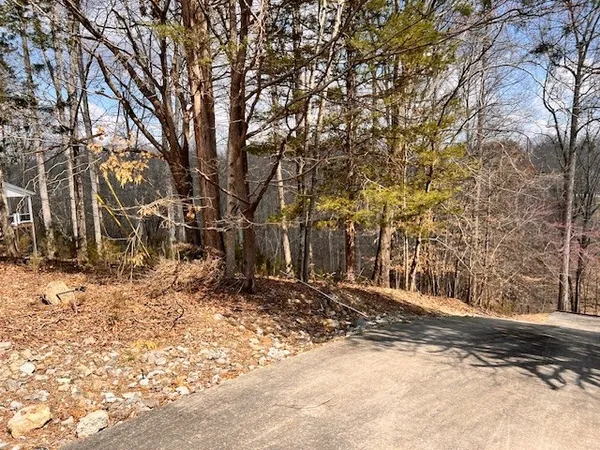 a view of a yard with snow on the road