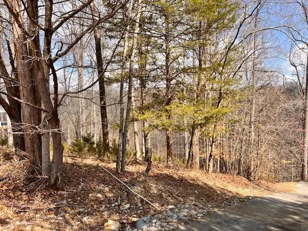 a view of a yard covered with snow