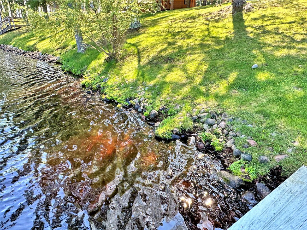 W7176 Long Lake Road Phillips, WI 54555 - Photo 10 of 63 Gallery Image 10