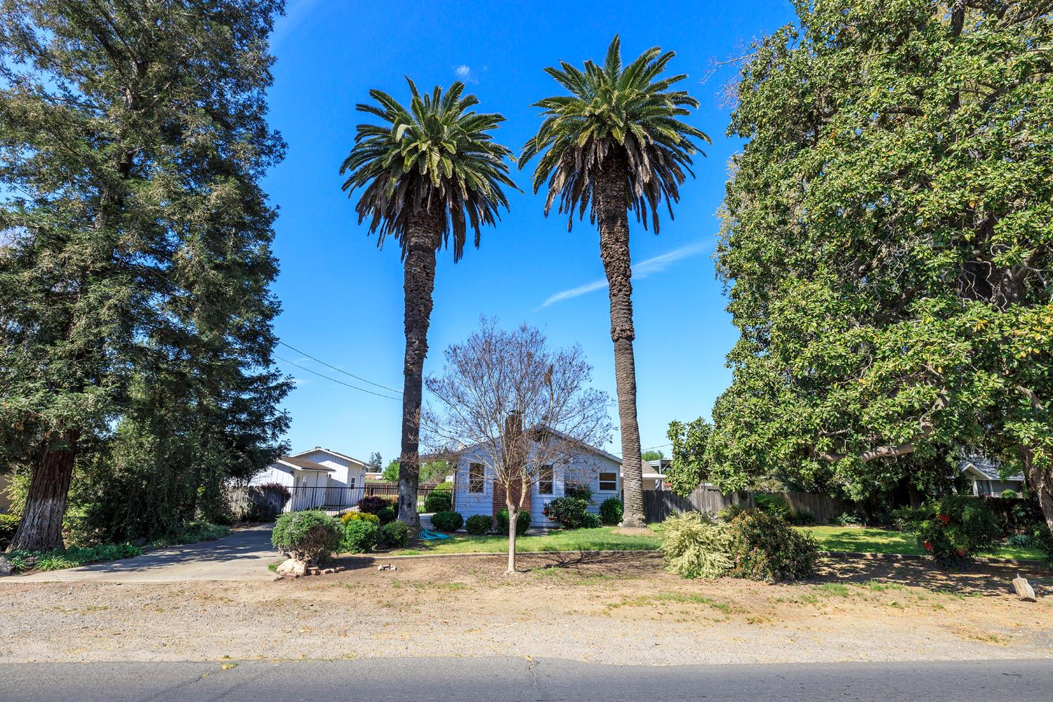 a view of a park with palm trees