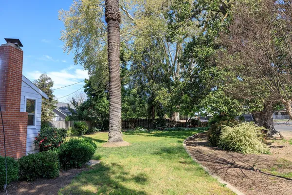 a view of a yard with plants