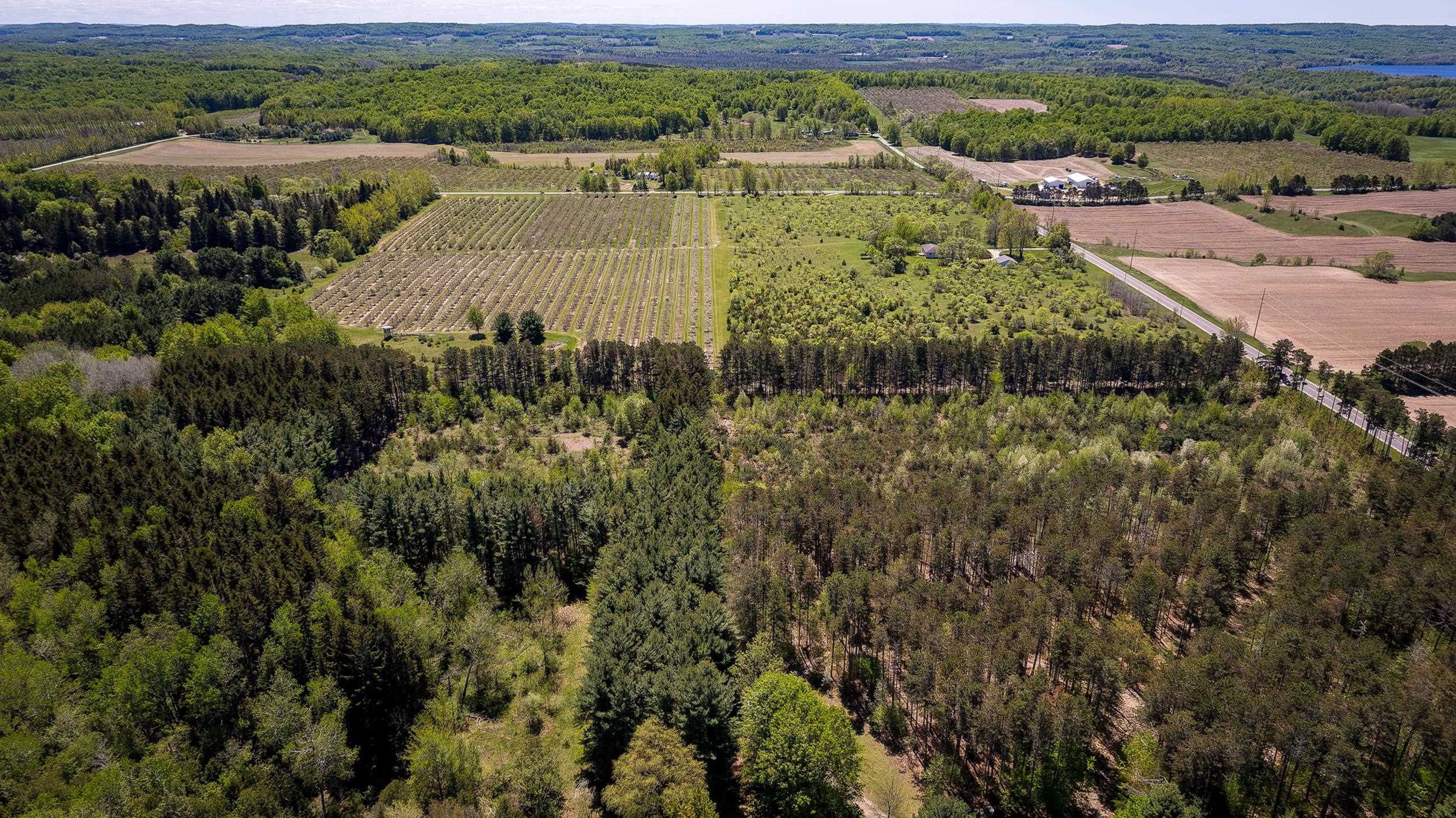 3219 Nugent Road Frankfort, MI 49635 - Photo 13 of 15