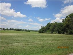 0 Barbara Spears Road Morrison, TN 37357 - Photo 4 of 4 a view of a field with an ocean