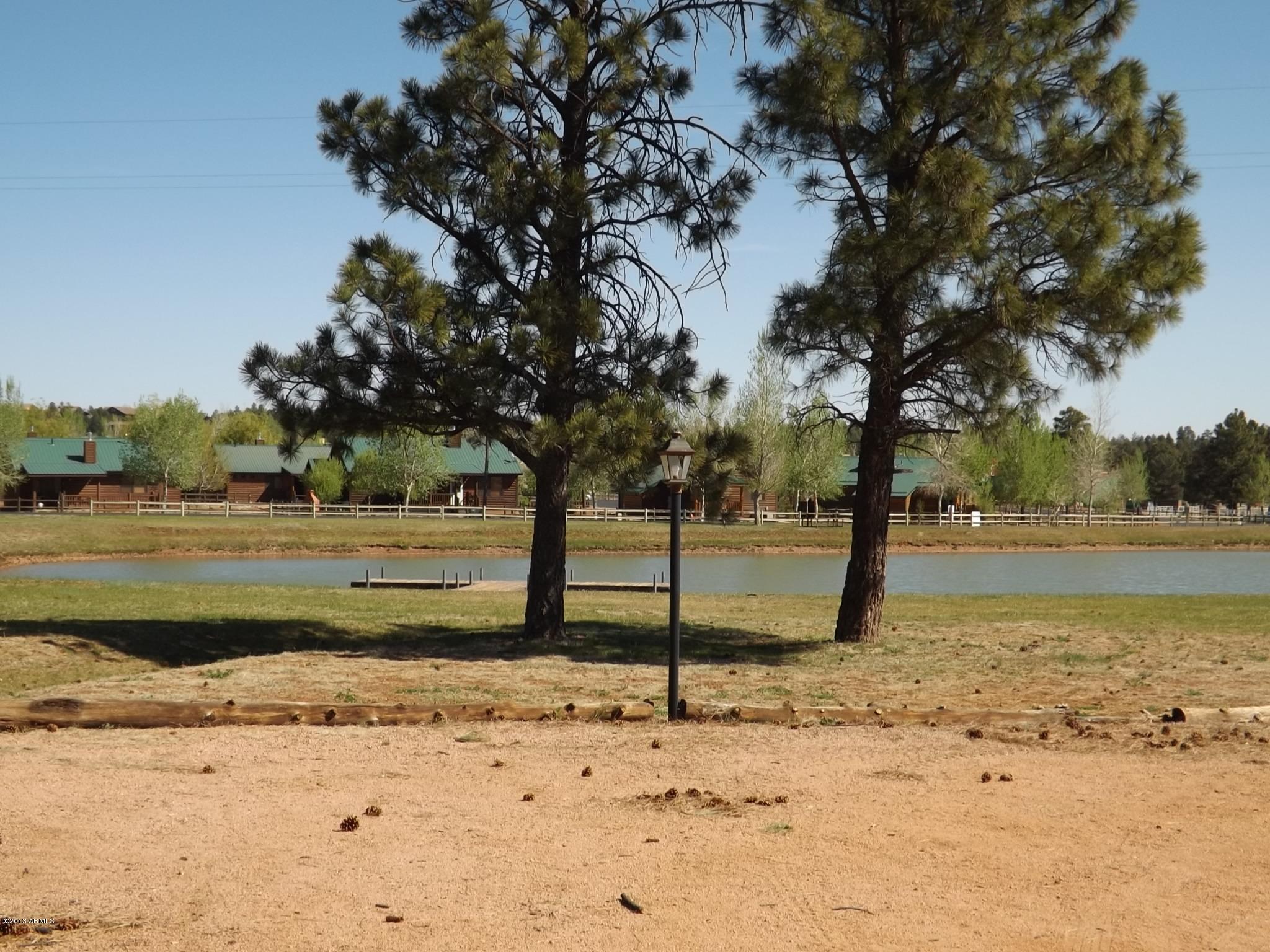 Parcel Parcel C40p Overgaard, AZ 85933 - Photo 3 of 16 002