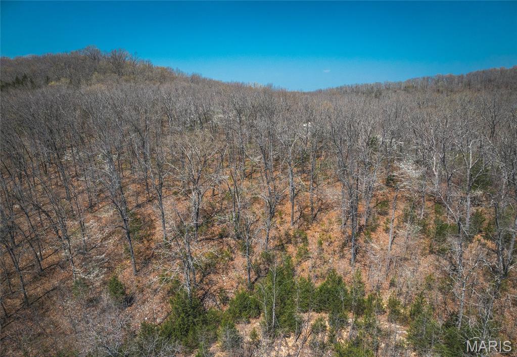 21270 State Rte D Newburg, MO 65550 - Photo 5 of 15