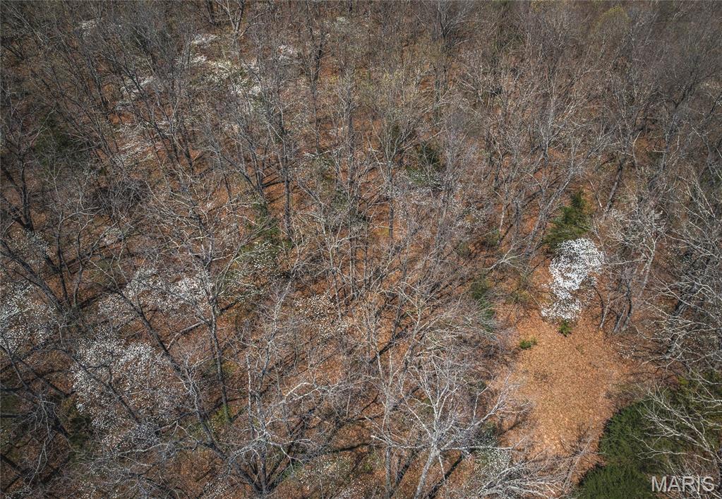 21270 State Rte D Newburg, MO 65550 - Photo 6 of 15