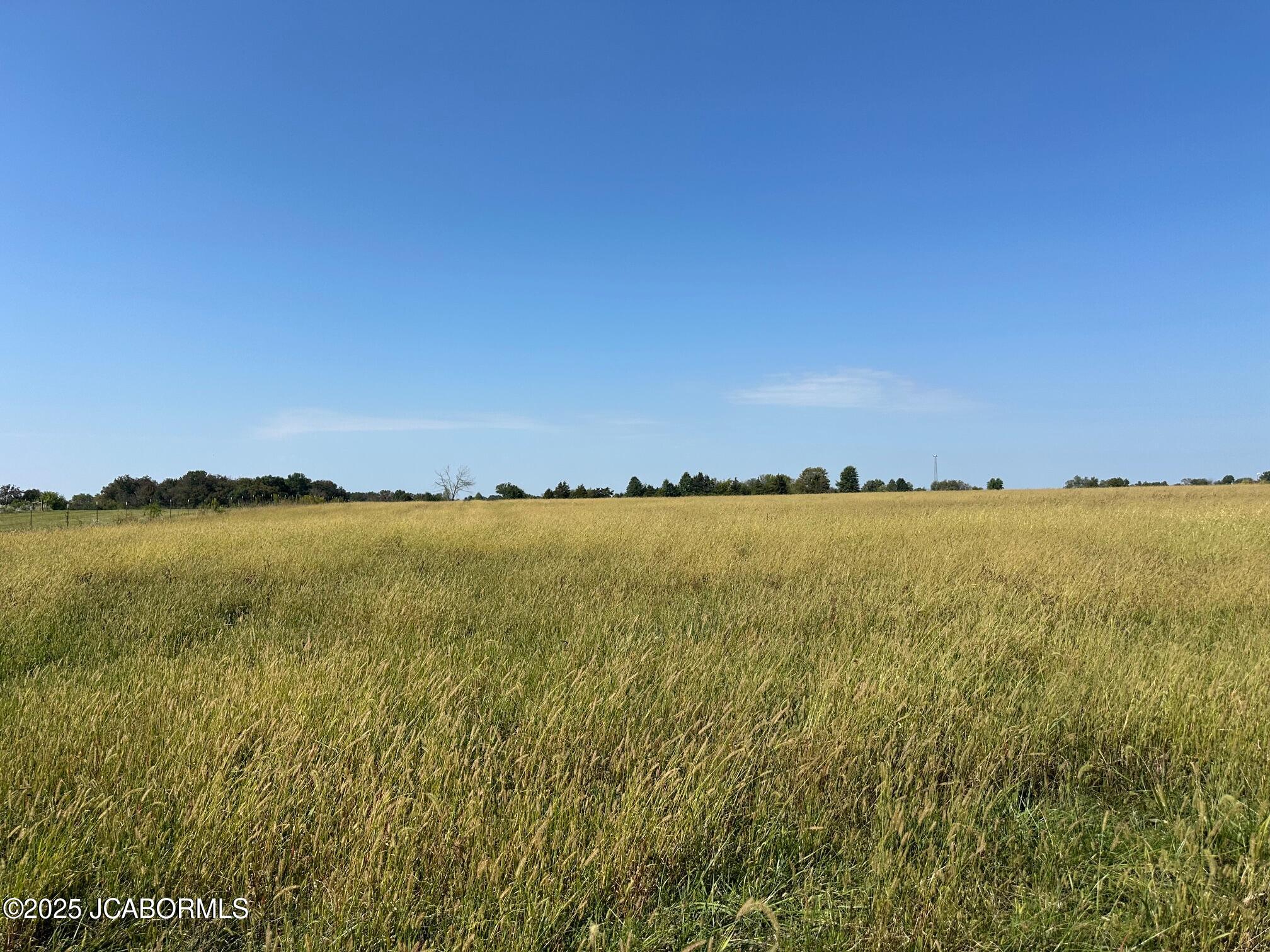 15 /- Acres County Road Fulton, MO 65251 - Photo 1 of 1