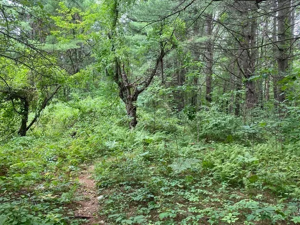 $900,000 | 0 Worcester-Providence Turnpike, Sutton, MA 01590