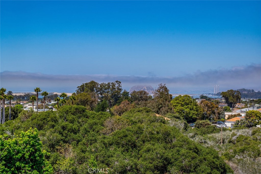 1301 Los Osos Valley Road Los Osos, CA 93402 - Photo 43 of 75 a view of a bunch of trees in a field