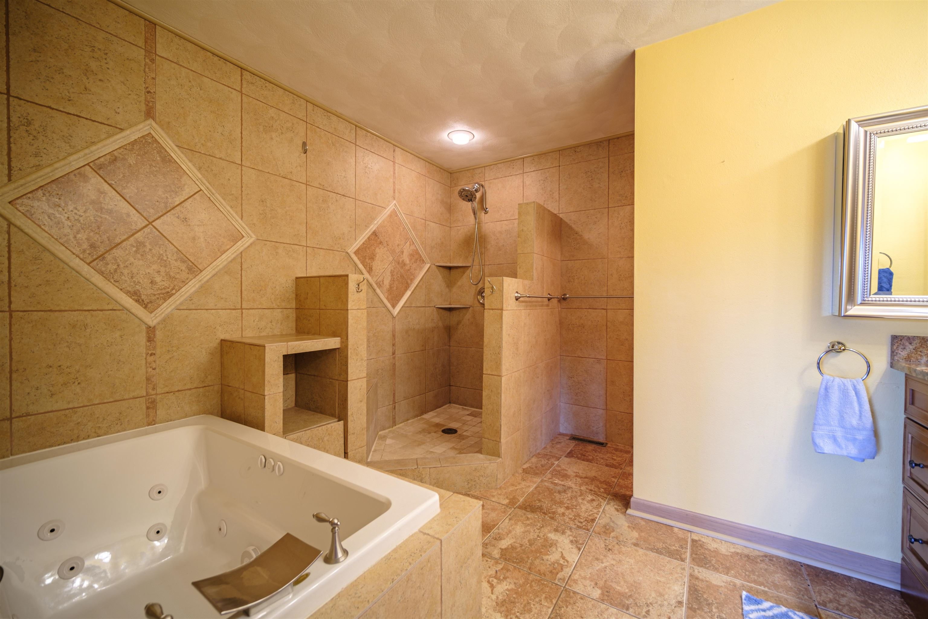 5592 Spring Brook Road Rockford, IL 61114 - Photo 12 of 53 a bathroom with a bathtub and a shower