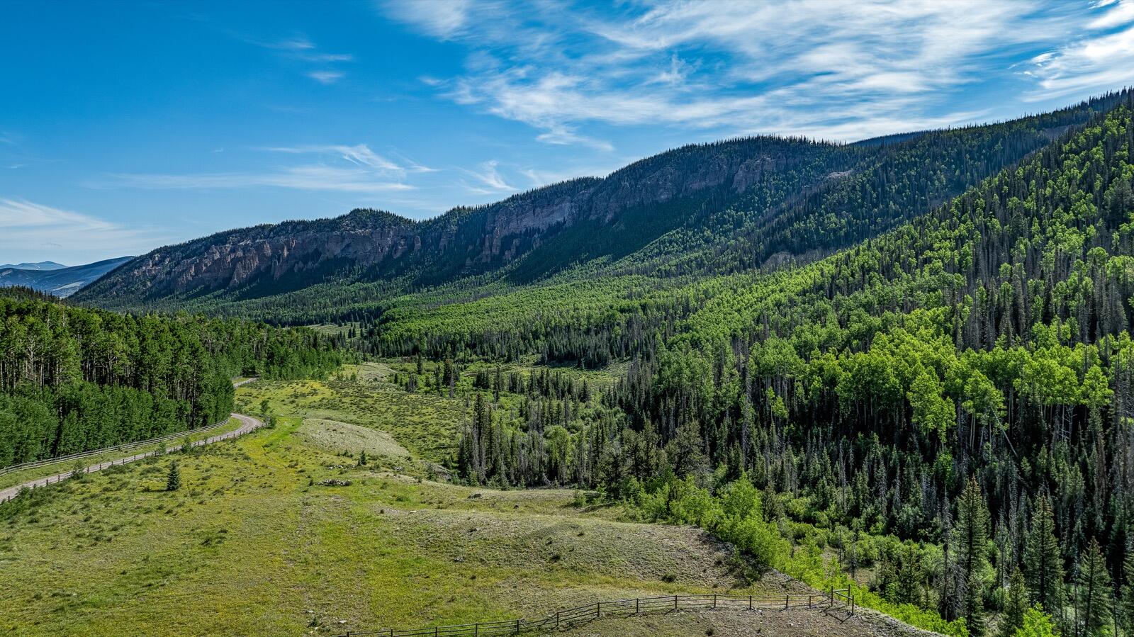 2418 Usfs Road Creede, CO 81130 - Photo 31 of 50 a view of a lush green space with sea
