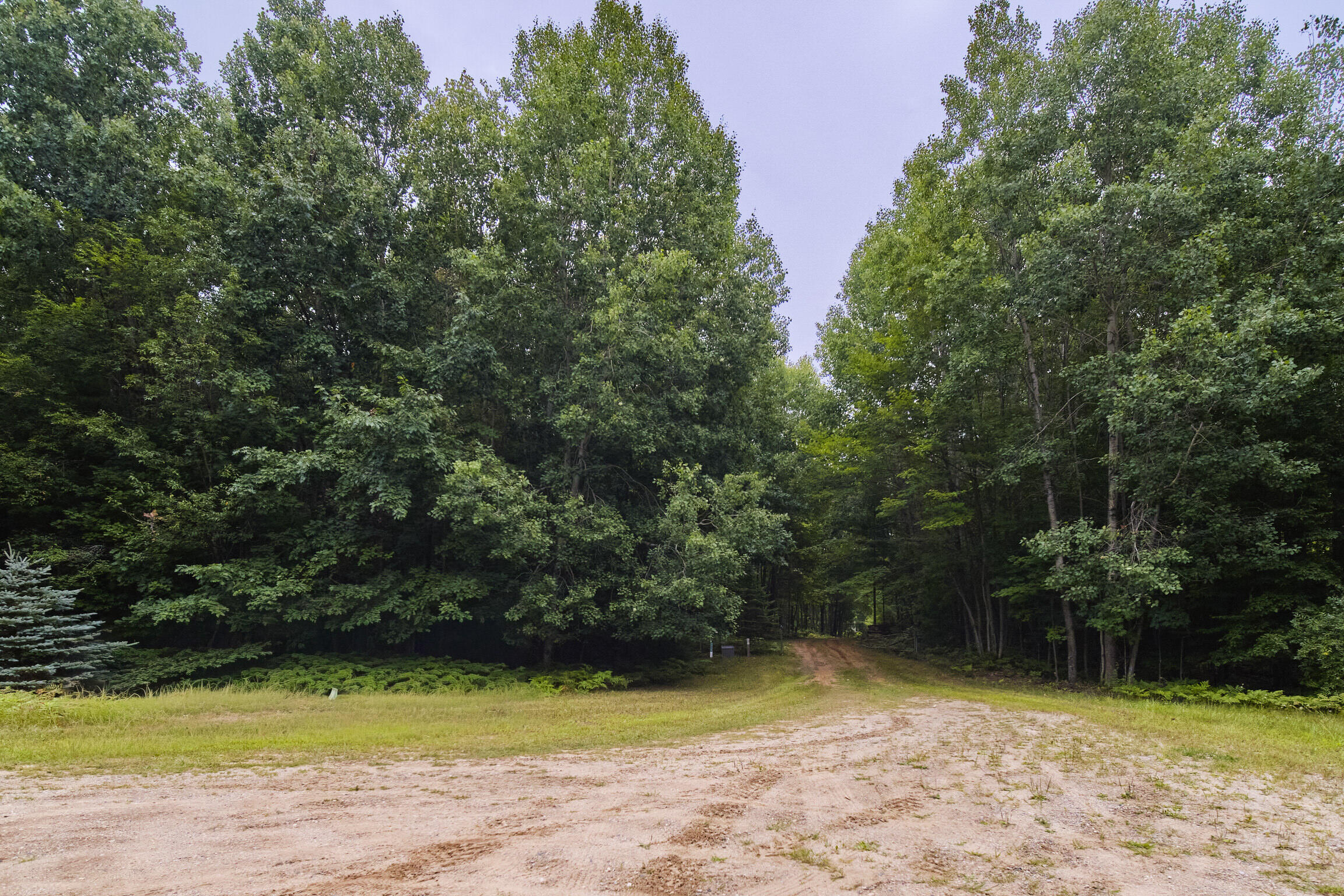 8089 Hunter Ridge Trail Copemish, MI 49625 - Photo 12 of 61 8089 Hunter's Ridge