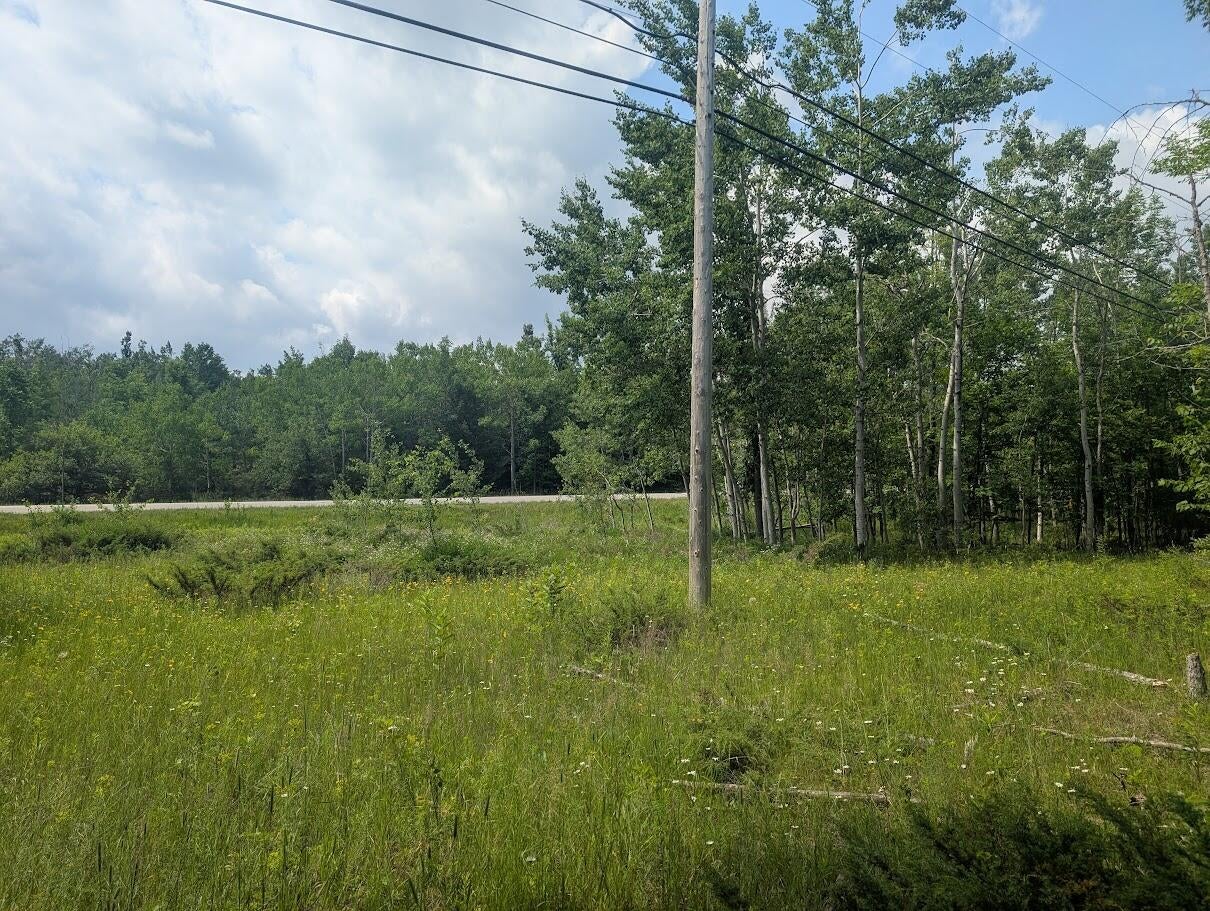 West Long Lake Road Alpena, MI 49707 - Photo 3 of 17 PXL_20250709_155652577