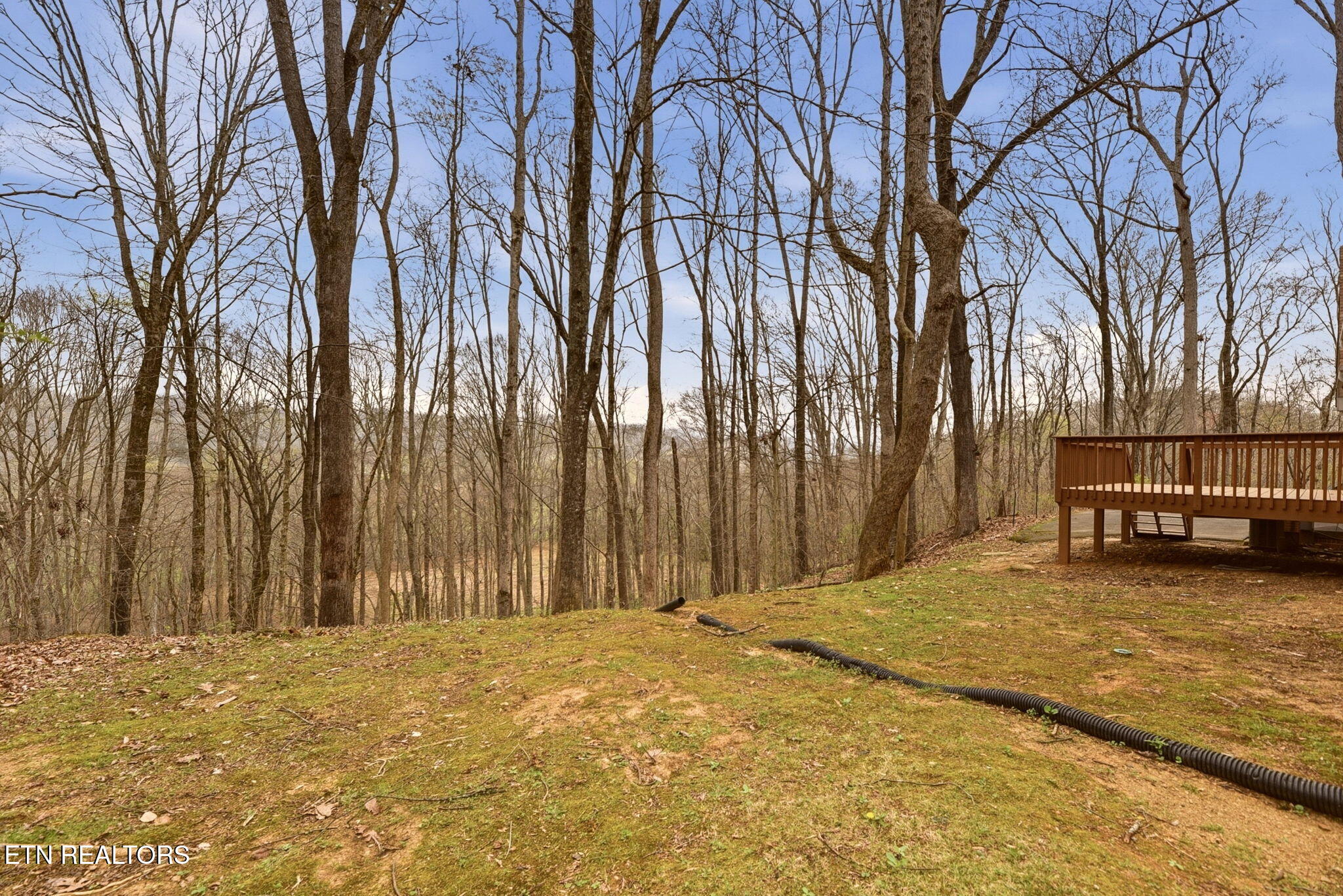 207 Strader Road Powell, TN 37849 - Photo 42 of 51 42-web-or-mls-Strdr207 (41)