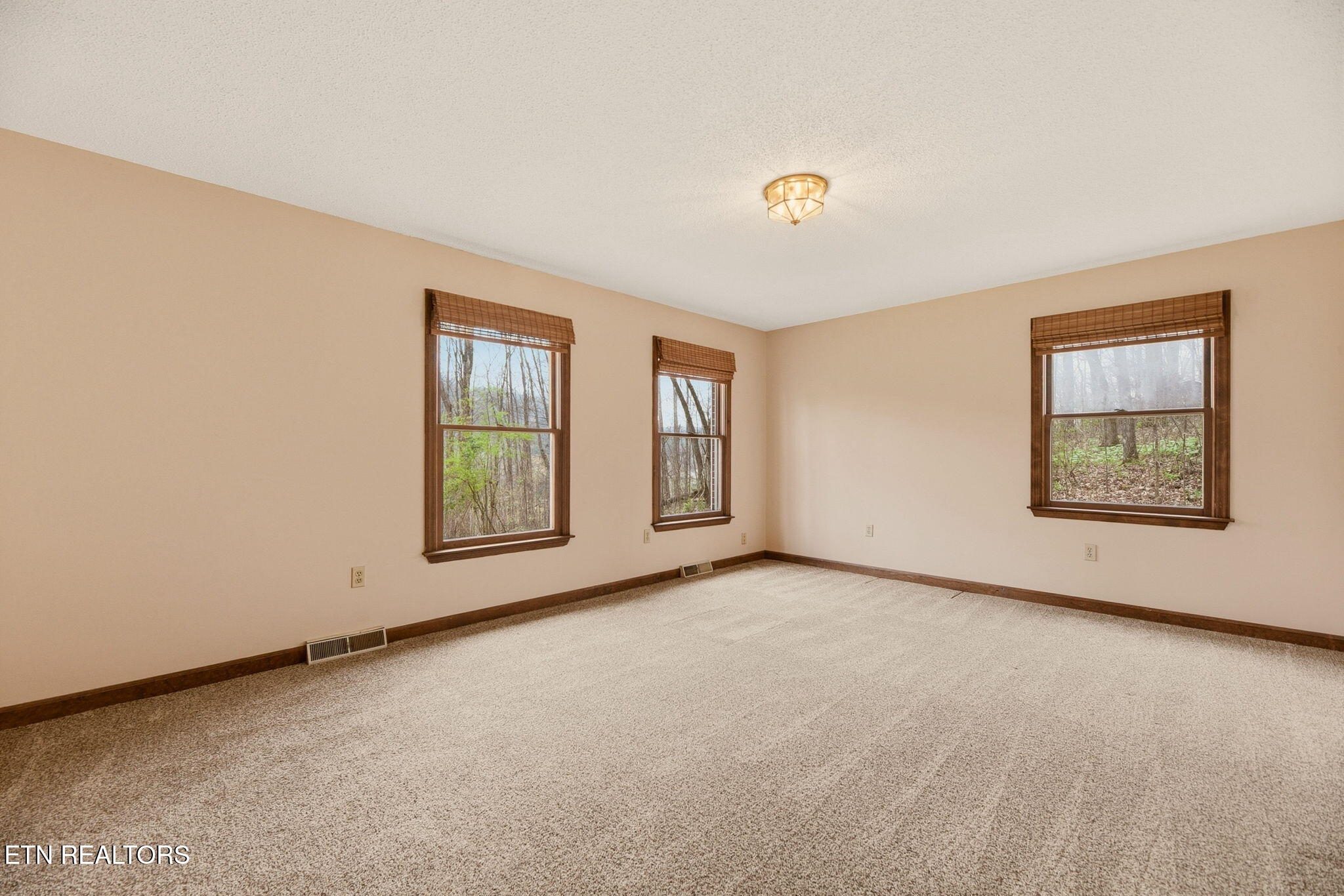 207 Strader Road Powell, TN 37849 - Photo 6 of 51 6-web-or-mls-Strdr207 (8)