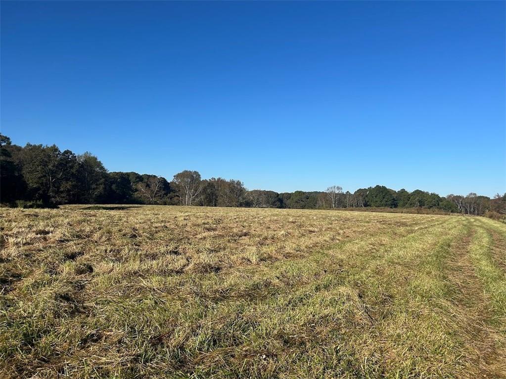 0 Old Columbus Road Bowdon, GA 30108 - Photo 6 of 26