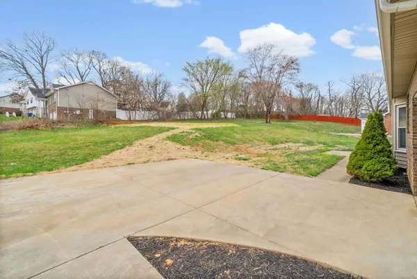 a view of a park with large trees