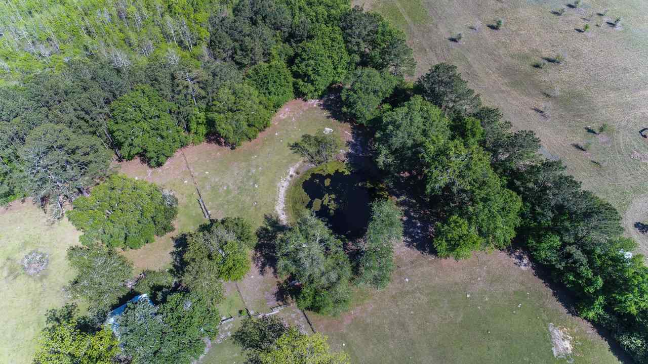1870 North Salt Road Monticello, FL 32344 - Photo 3 of 36 Gallery Image 3