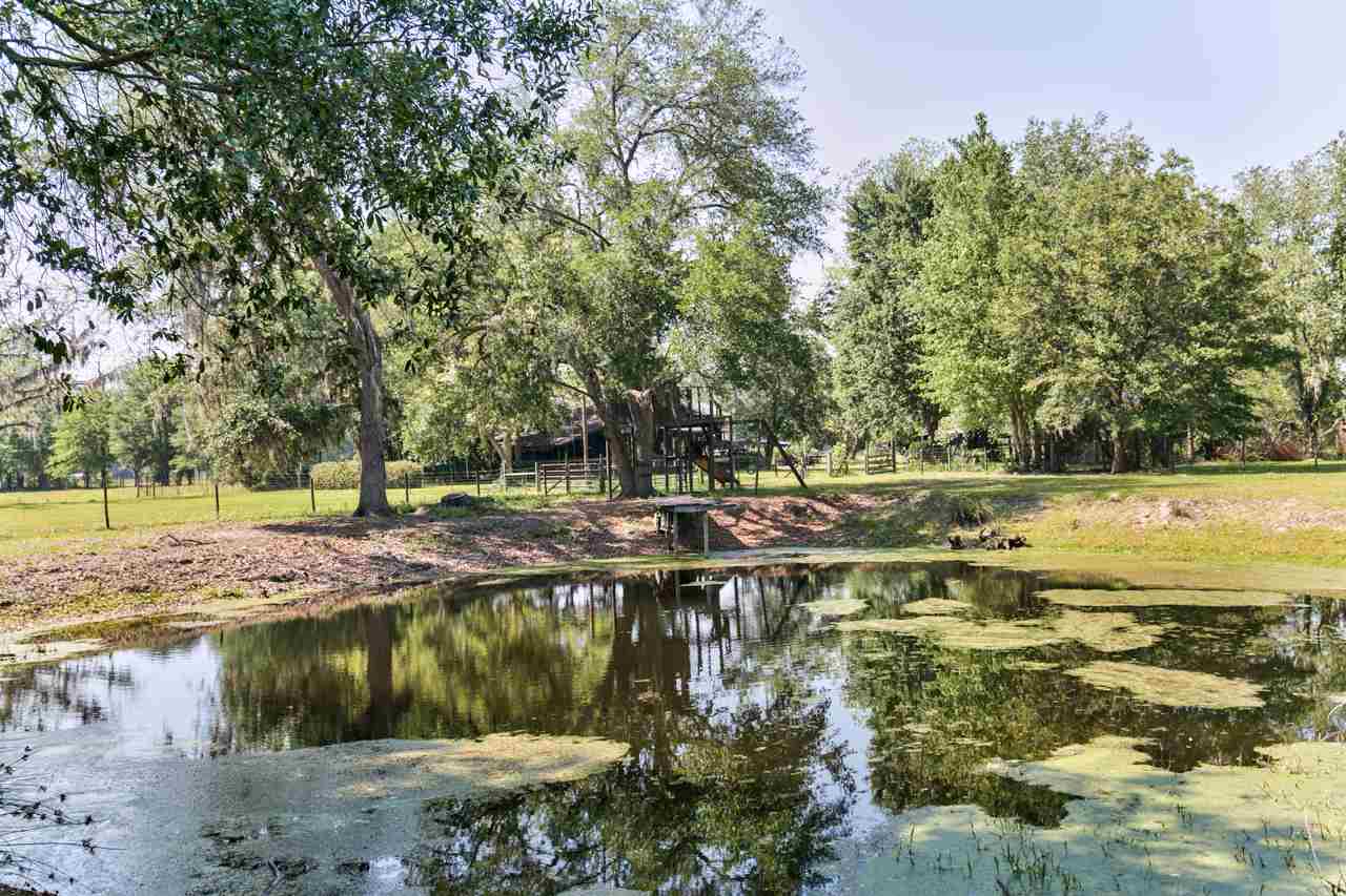 1870 North Salt Road Monticello, FL 32344 - Photo 5 of 36 Gallery Image 5