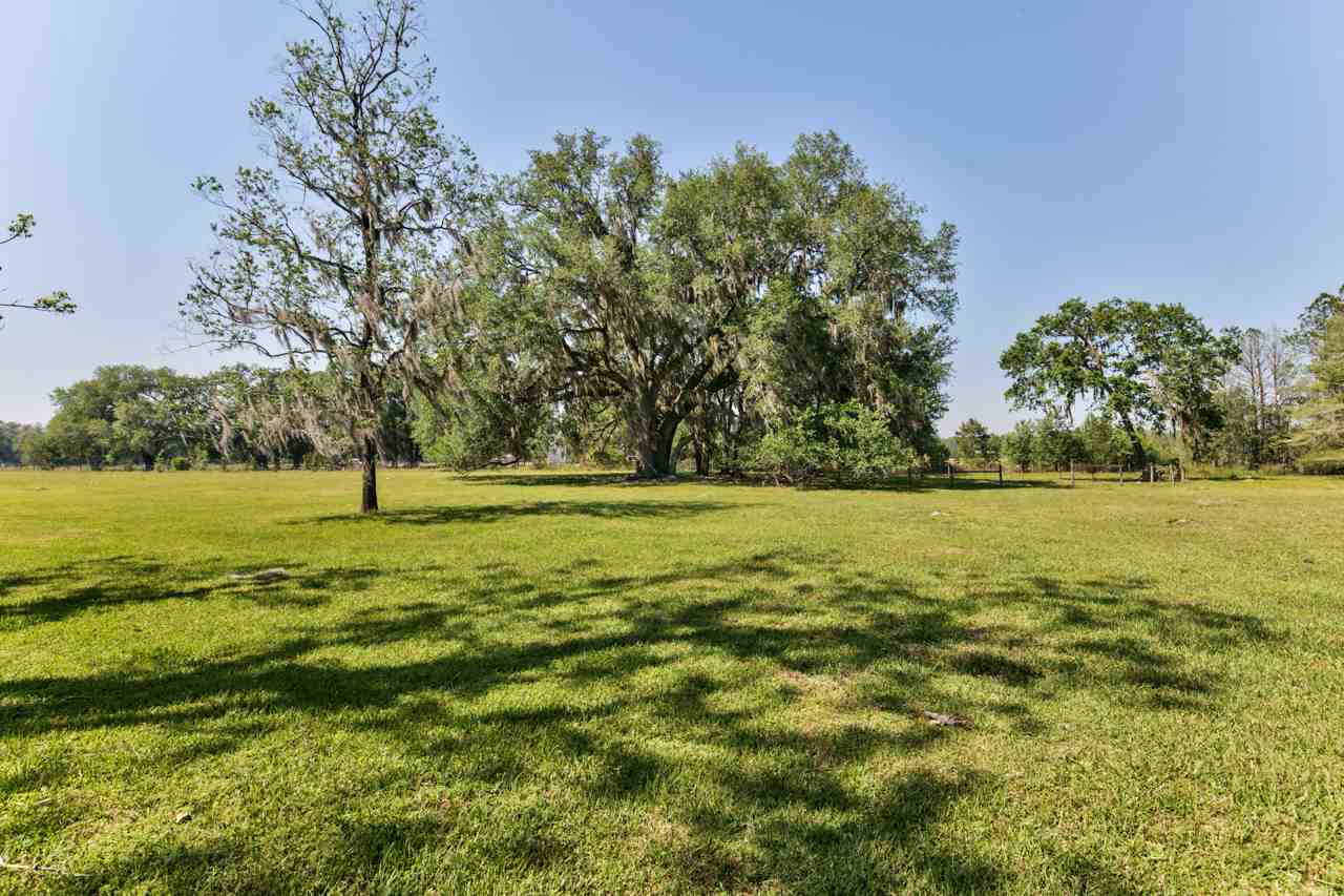 1870 North Salt Road Monticello, FL 32344 - Photo 9 of 36 Gallery Image 9