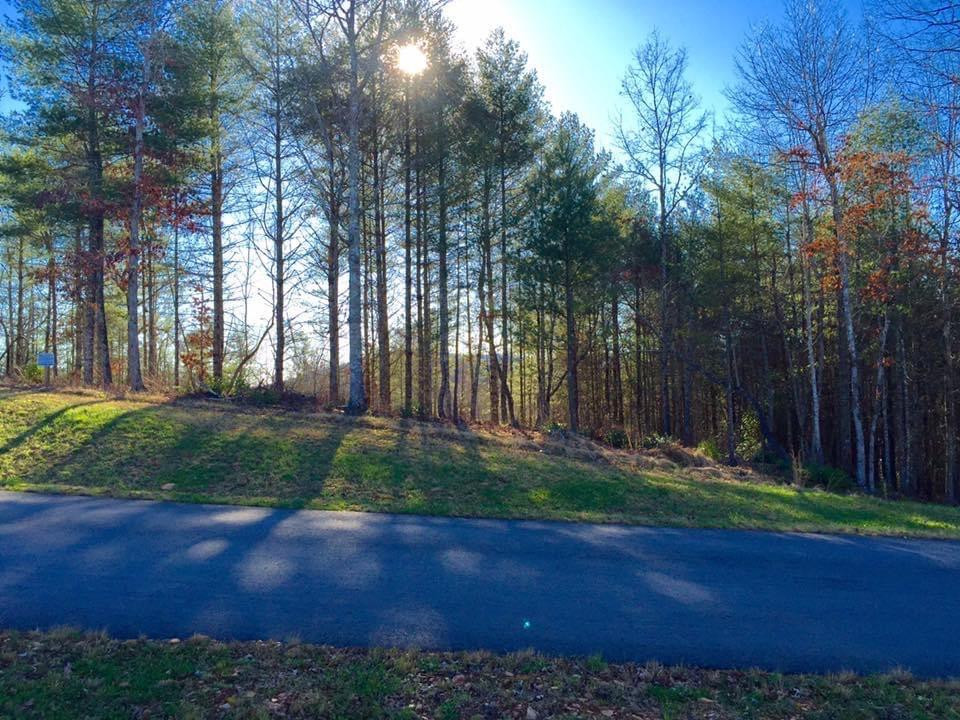Lot #94 River Mountain Road Murphy, NC 28906 - Photo 2 of 12
