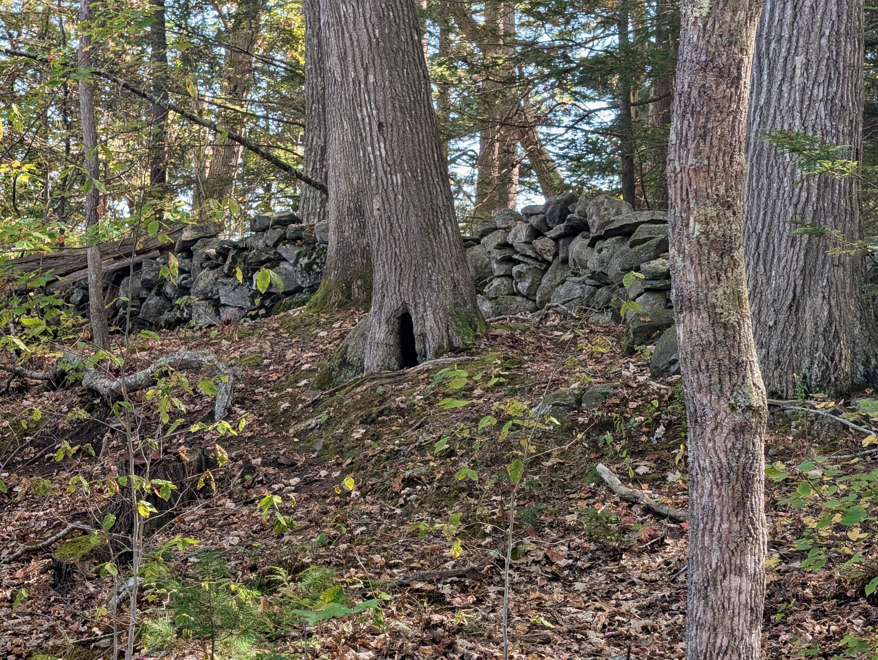 Lot 003905 White Road Newcastle, ME 04553 - Photo 15 of 17 PXL_20251006_170524890
