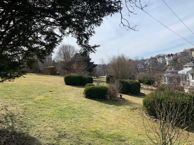1039 Reeves Avenue Monessen, PA 15062 - Photo 19 of 24 Side Yard