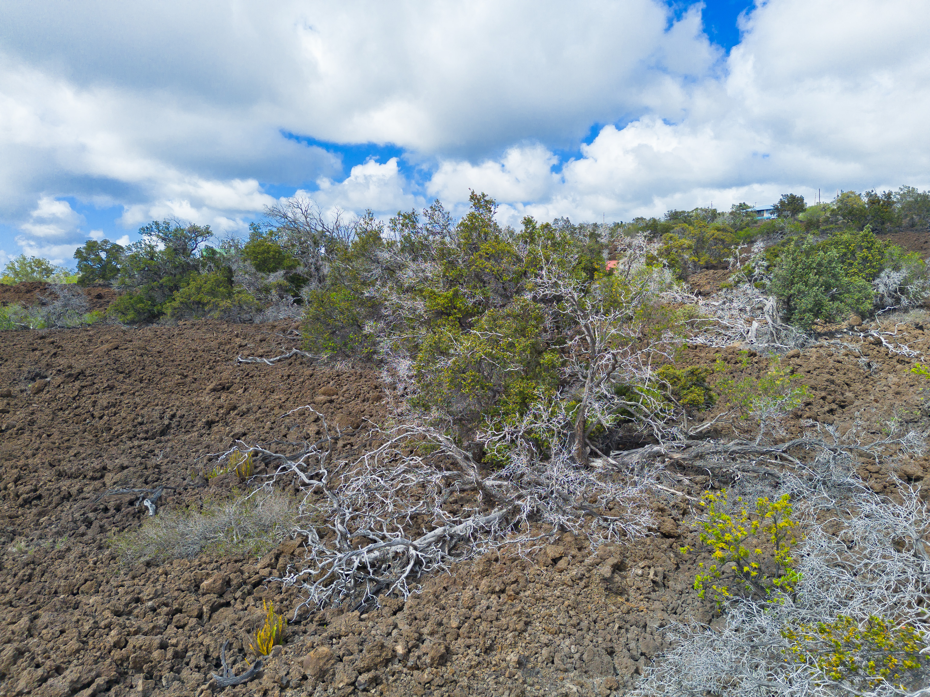 6 Alii Boulevard Ocean View, HI 96704 - Photo 15 of 22