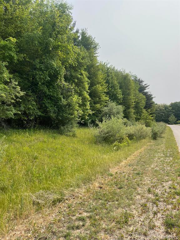 0 Mill Road Dryden, MI 48428 - Photo 8 of 18