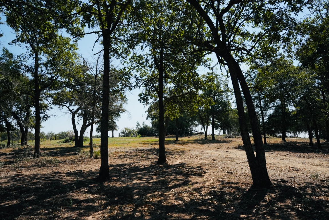 640 County Road 475 Luling, TX 78648 - Photo 12 of 20 a street view with large trees