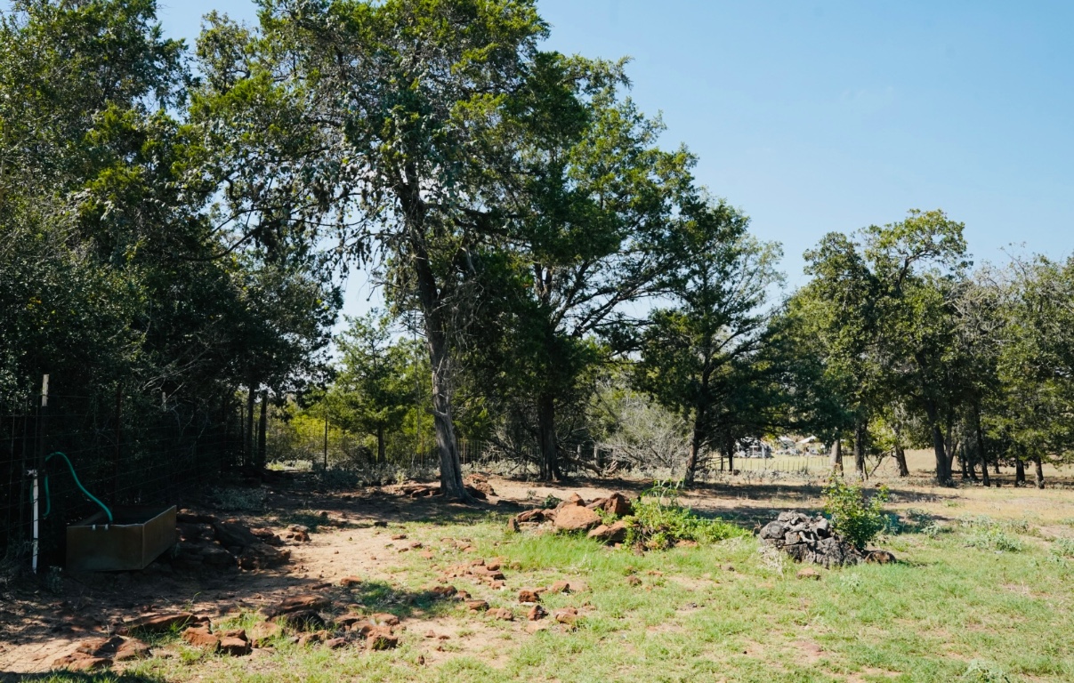 640 County Road 475 Luling, TX 78648 - Photo 16 of 20 a view of a yard with trees
