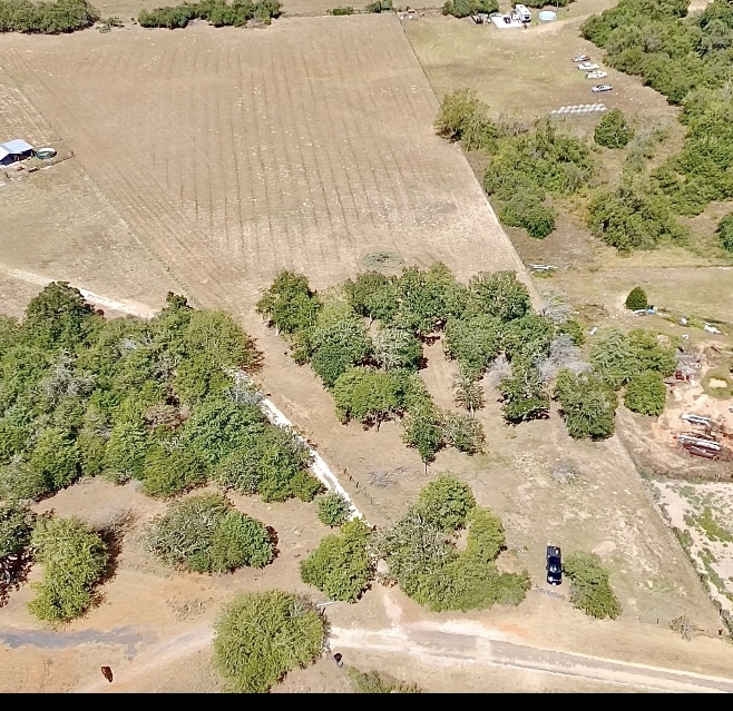 640 County Road 475 Luling, TX 78648 - Photo 18 of 20 a view of a yard with plants