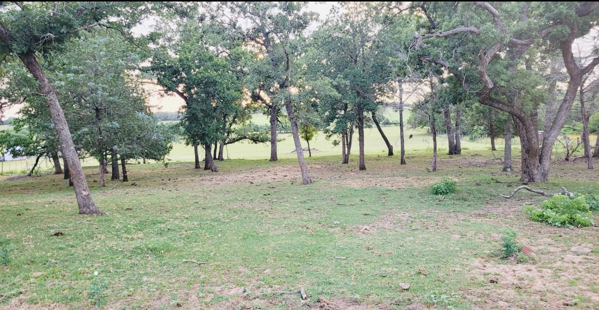 640 County Road 475 Luling, TX 78648 - Photo 19 of 20 a view of outdoor space with trees