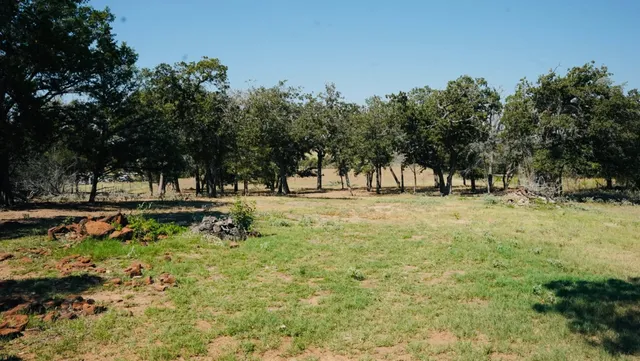 a view of outdoor space with trees