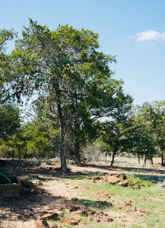 640 County Road 475 Luling, TX 78648 - Photo 4 of 20 a view of a yard with a tree