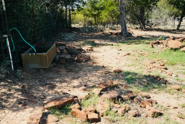 a view of a yard with plants