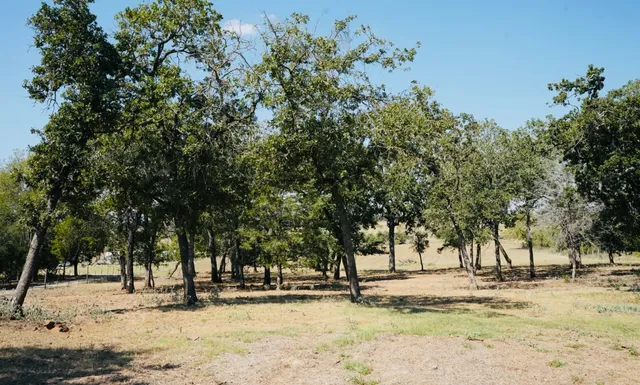 a view of a snow on the side of the road