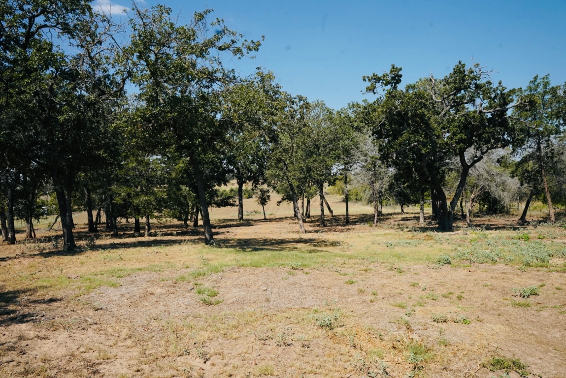 640 County Road 475 Luling, TX 78648 - Photo 8 of 20 a view of yard with trees
