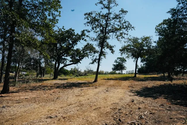 a view of dirt yard with trees