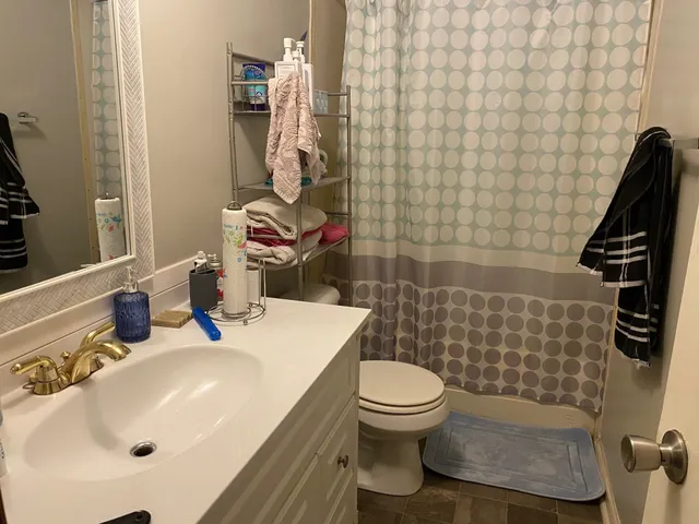 a bathroom with a sink a toilet and a mirror