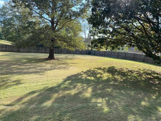 a view of a yard with a tree