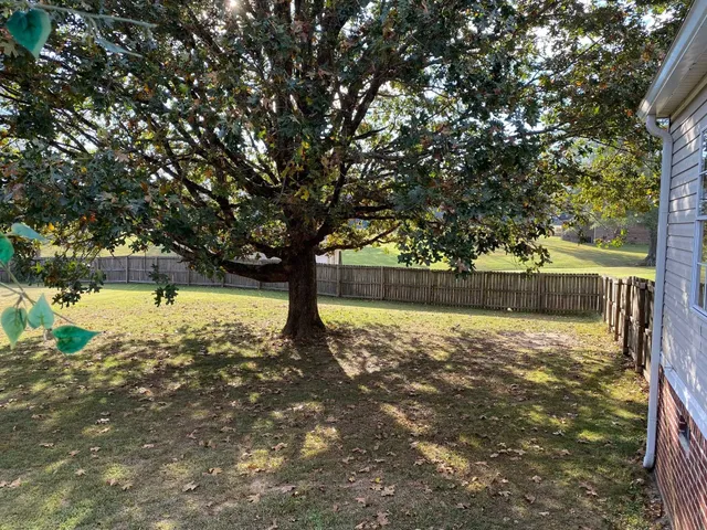 a view of a yard with a tree