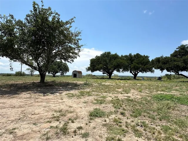 a view of a field with large trees