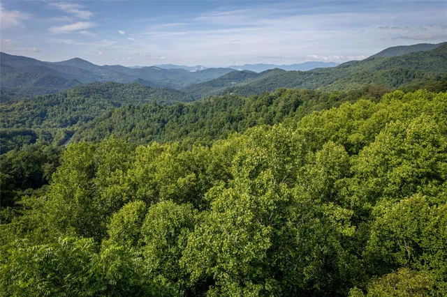 a view of a lush green hillside and a mountain view