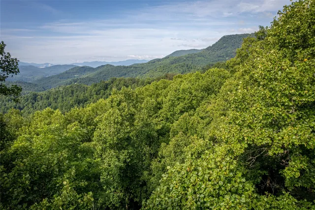 a view of a lush green forest with mountains in the background
